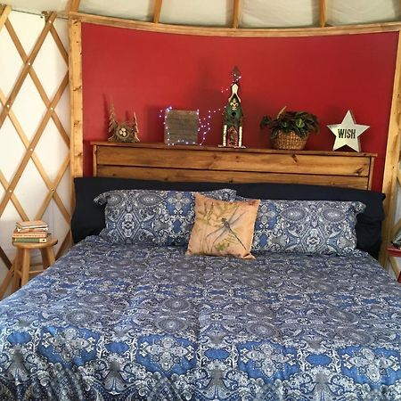 Mountain Springs Cabins Candler Ngoại thất bức ảnh