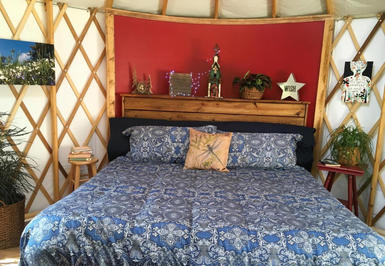 Mountain Springs Cabins Candler Ngoại thất bức ảnh