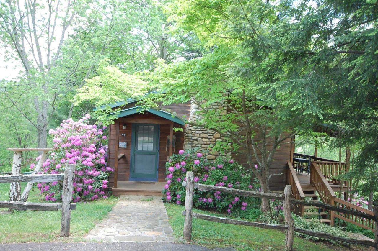 Mountain Springs Cabins Candler Ngoại thất bức ảnh