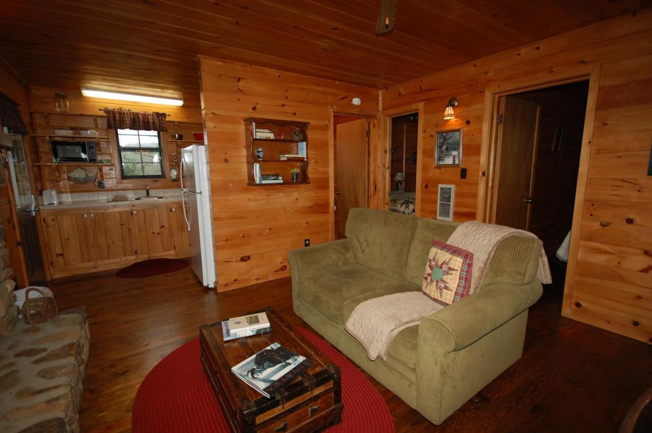 Mountain Springs Cabins Candler Ngoại thất bức ảnh