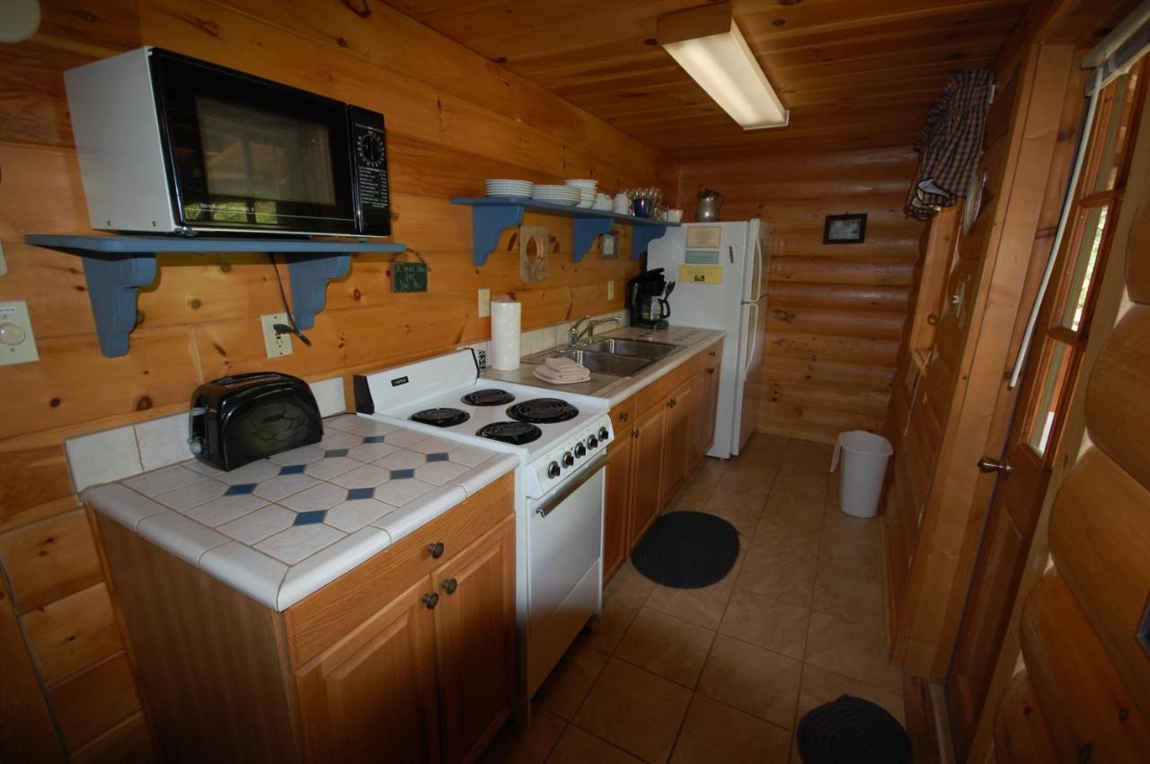 Mountain Springs Cabins Candler Ngoại thất bức ảnh