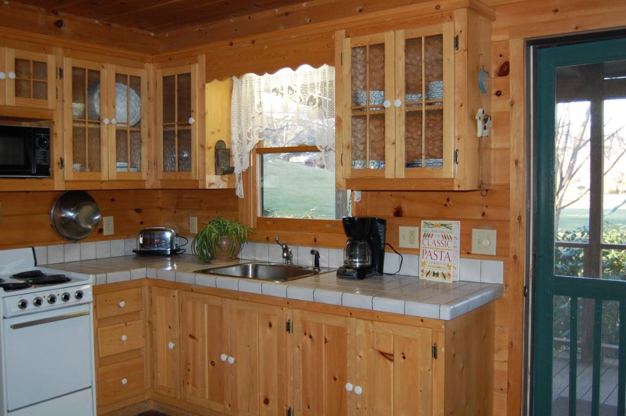 Mountain Springs Cabins Candler Ngoại thất bức ảnh