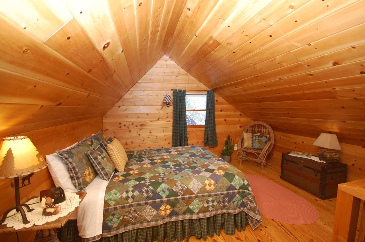 Mountain Springs Cabins Candler Ngoại thất bức ảnh