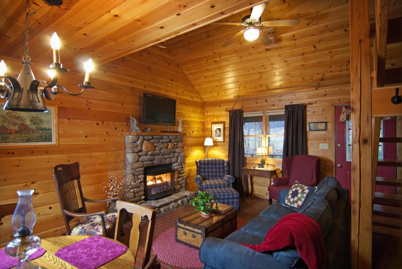 Mountain Springs Cabins Candler Ngoại thất bức ảnh