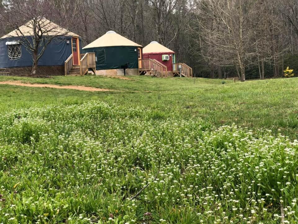 Mountain Springs Cabins Candler Ngoại thất bức ảnh