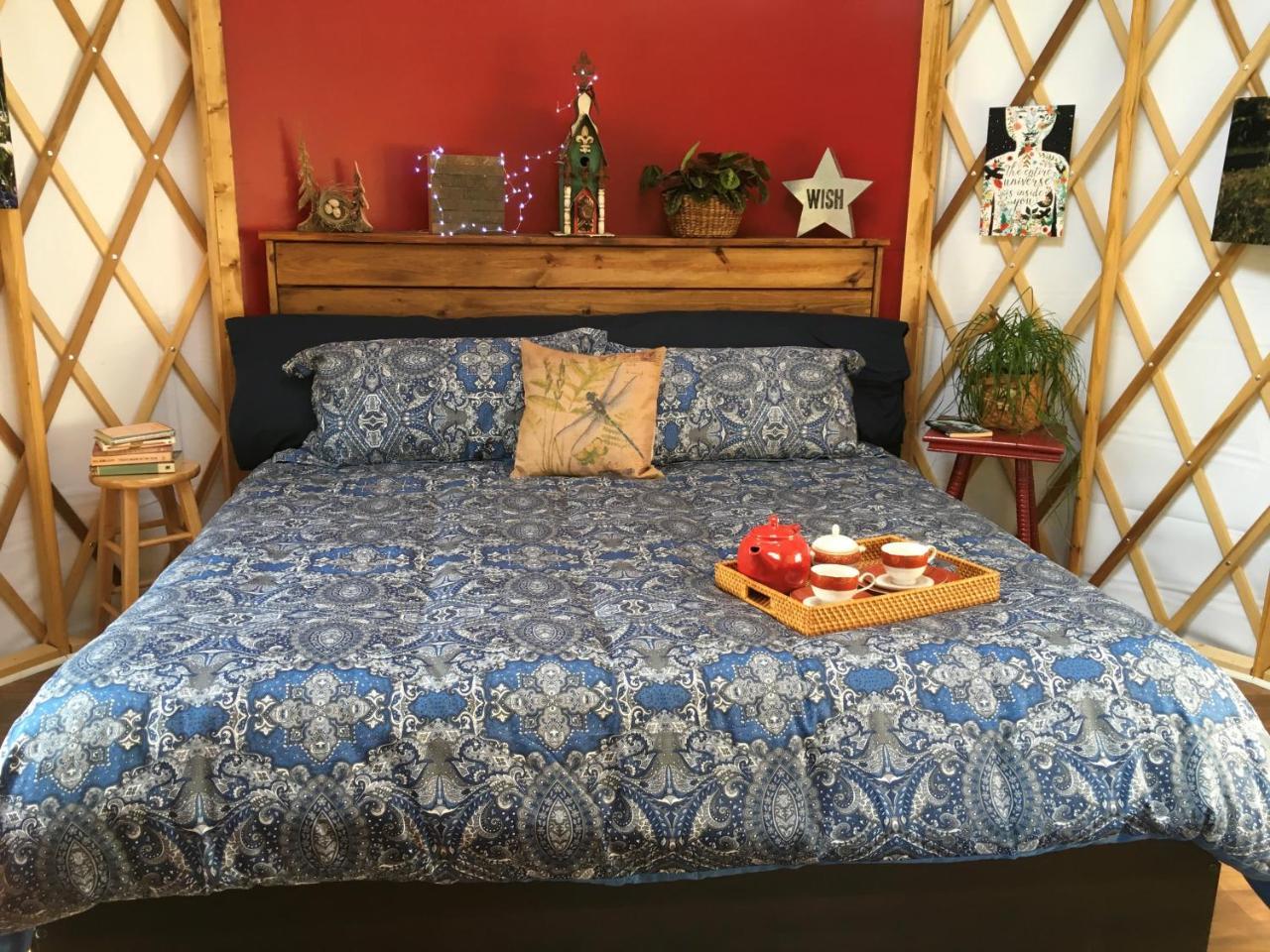 Mountain Springs Cabins Candler Ngoại thất bức ảnh