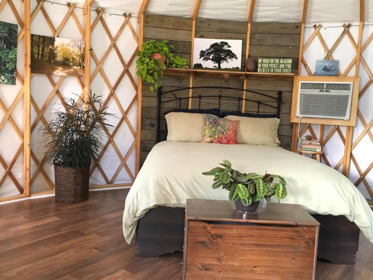 Mountain Springs Cabins Candler Ngoại thất bức ảnh